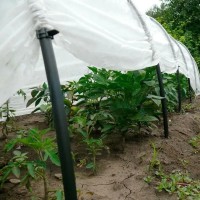 Парник мини теплица Агрос из агроволокна 50 г/м² 80×120×300 см