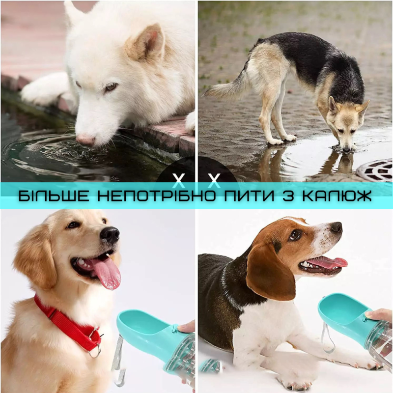 Поилка Для Собак Портативная Прогулочная Бутылочка Питьевая 350 мл Мятная