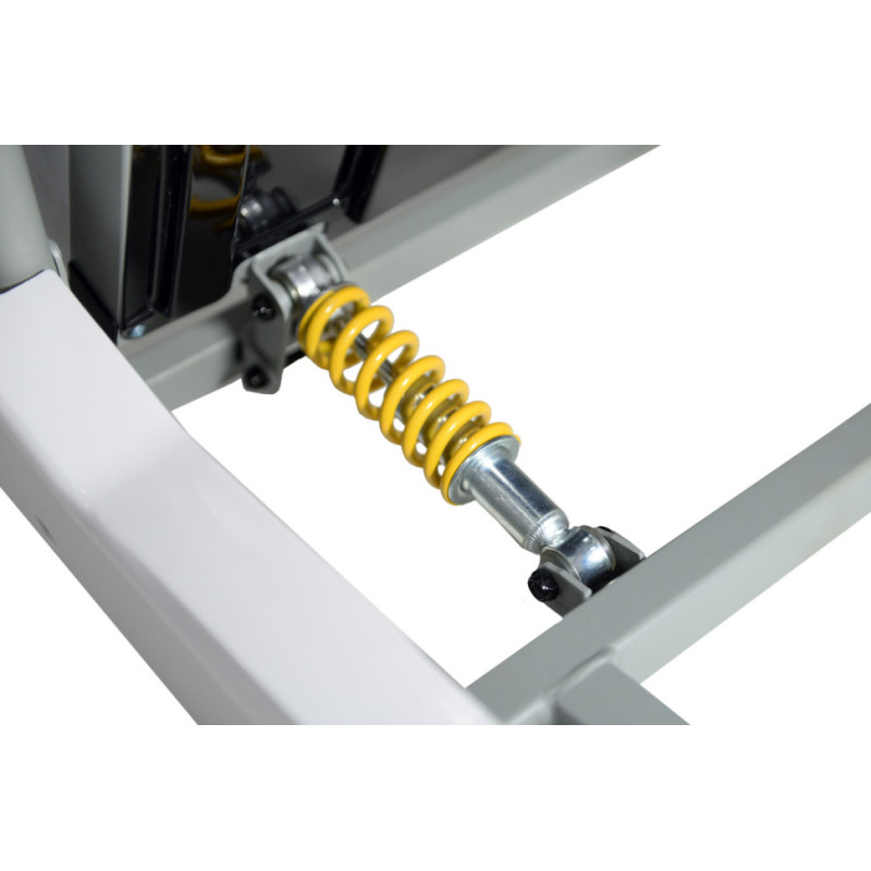 Беговая дорожка электрическая RN WiCiGer H128M + Гантели + Массажер