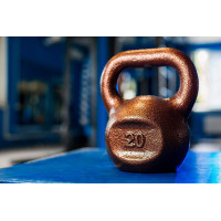 Гиря чугунная RN-SPORT 20 кг металлическая, цвет бронза