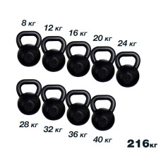 Набор чугунных гирь на 216 кг Rn-Sport