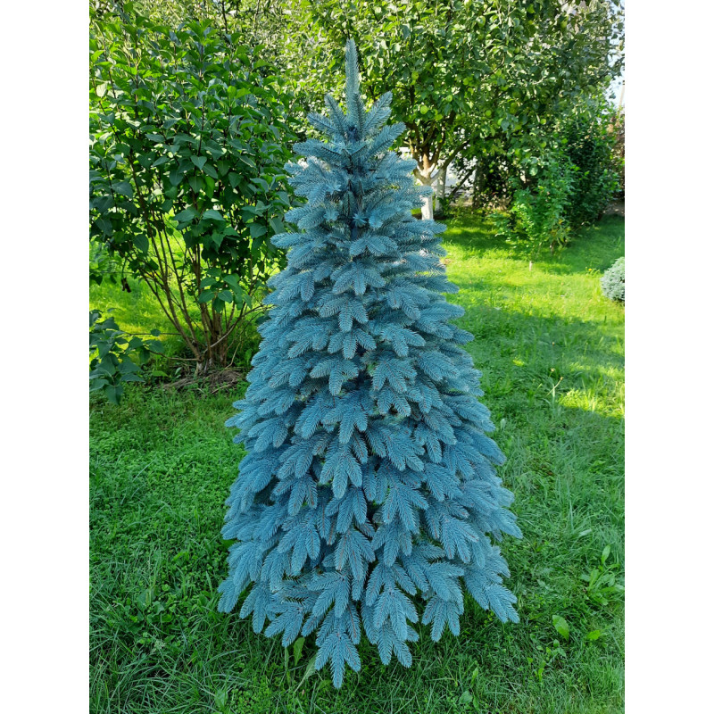 Ялинка штучна Швейцарська лита блакитна 1.8 м