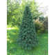 Ялинка штучна Швейцарська лита зелена 1.5 м