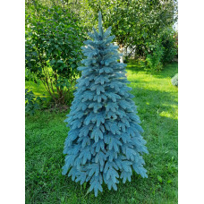 Ялинка штучна Швейцарська лита блакитна 1.5 м