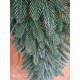Гірлянда хвойна лита Преміум 1м