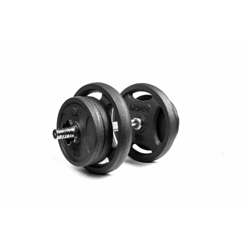 Гантели разборные RN-Sport 2 по 21 кг металлические