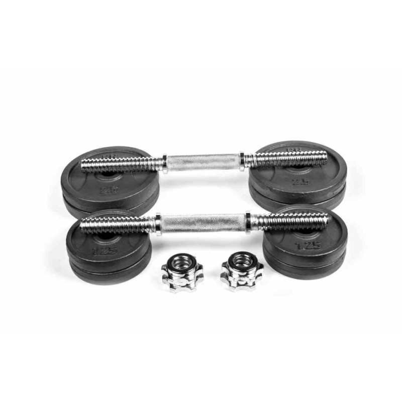 Гантели разборные металлические 2 по 6 кг RN-Sport