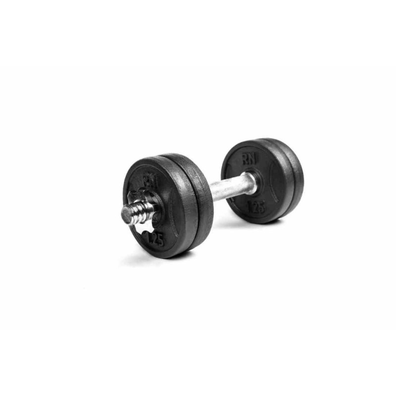 Гантель разборная металлическая RN-Sport 6 кг (RN_QTR06)