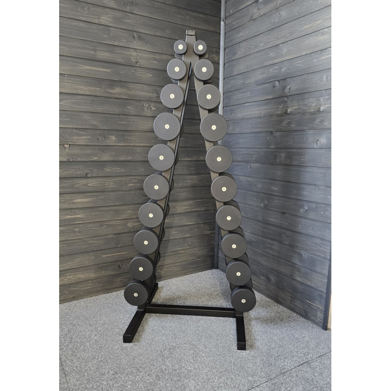 Ряд гантельный RN-Sport BLACK 1-10 кг со стойкой