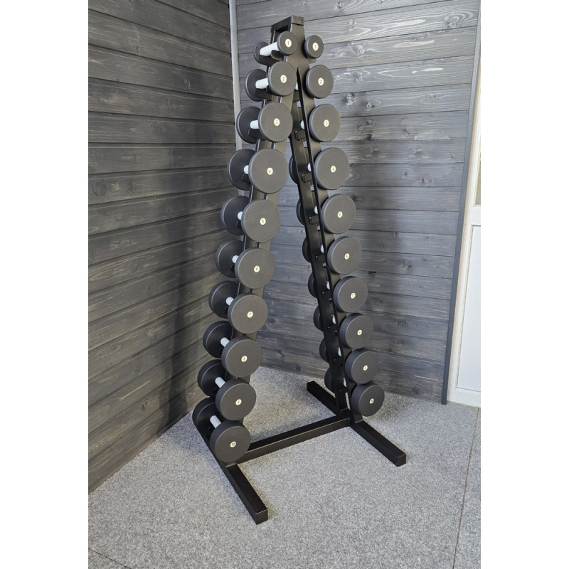 Ряд гантельный RN-Sport BLACK 1-10 кг со стойкой