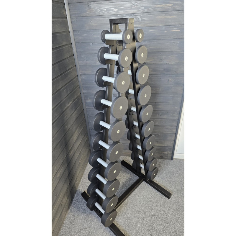 Ряд гантельный RN-Sport BLACK 1-10 кг со стойкой