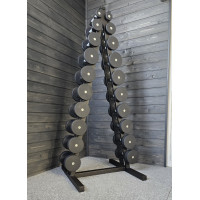 Ряд гантельный RN-Sport BLACK 1-10 кг со стойкой