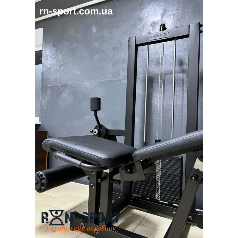 Сгибание-разгибание ног RN-Sport Imperium грузоблок