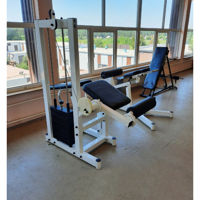 Сгибание-разгибание ног RN-Sport Imperium грузоблок