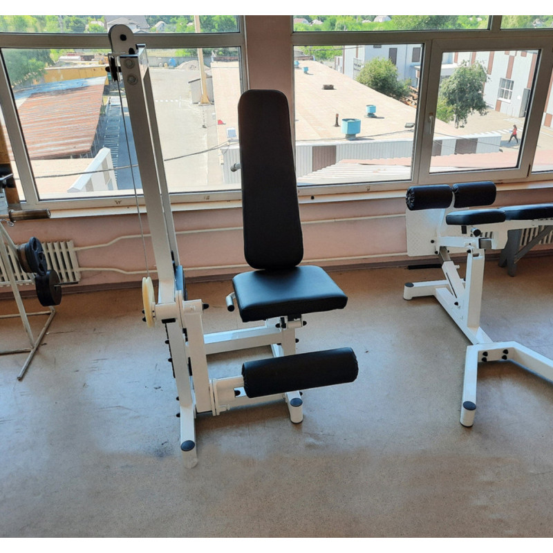 Сгибание-разгибание ног RN-Sport Imperium грузоблок