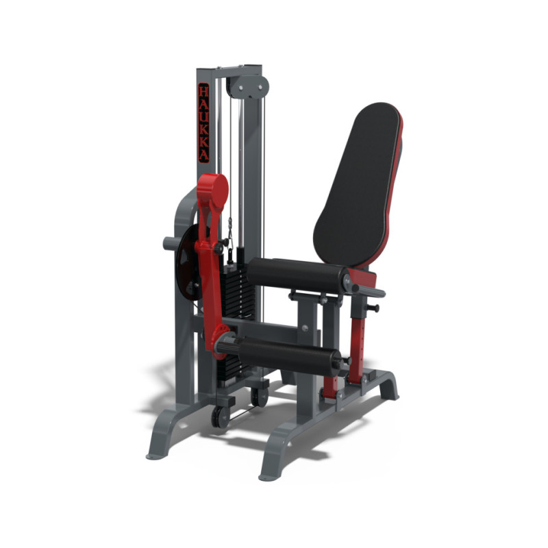 Сгибание/разгибание ног HAUKKA