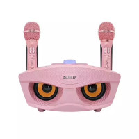 Бездротова Караоке Система SDRD на Два Мікрофона з Колонкою SD306 Чорний