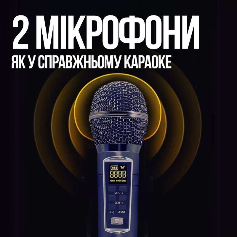 Портативная Переносная Караоке Система SDRD С Двумя Беспроводными Bluetooth Микрофонами + RGB Подсветкой Для Дома и Вечеринок SD319Pro