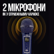 Портативная Переносная Караоке Система SDRD С Двумя Беспроводными Bluetooth Микрофонами + RGB Подсветкой Для Дома и Вечеринок SD319Pro