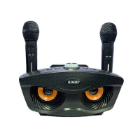Портативная Беспроводная Акустическая Система с Двумя Микрофонами SDRD + Музыкальная Bluetooth Караоке Станция SD306S