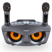 Портативная Беспроводная Караоке Система с Двумя Микрофонами SDRD Блютуз Колонка с Поддержкой 3D Stereo и Функцией Изменения Голоса SD306 Plus