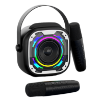 Портативная Беспроводная Bluetooth Караоке Система Переносная с Двумя Микрофонами LED Подсветкой и Функцией Смены Голоса V11 Белая