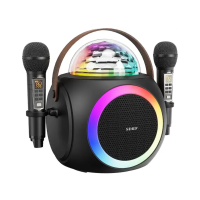 Портативна Бездротова Караоке Система SDRD з Двома Мікрофонами Професійним Звукознімачем та LED Підсвічуванням SD325