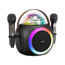 Портативная Беспроводная Караоке Система SDRD с Двумя Микрофонами Профессиональным Звукоснимателем и LED Подсветкой SD325