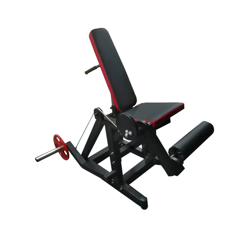 Сгибание-разгибание ног RN-SPORT imperium, свободный вес