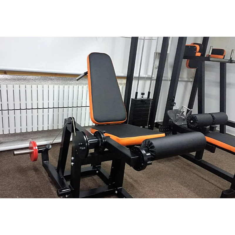 Сгибание-разгибание ног RN-SPORT imperium, свободный вес