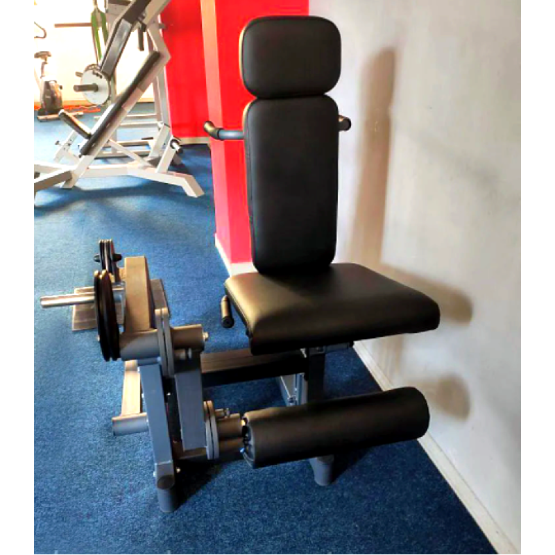 Сгибание-разгибание ног RN-SPORT imperium, свободный вес