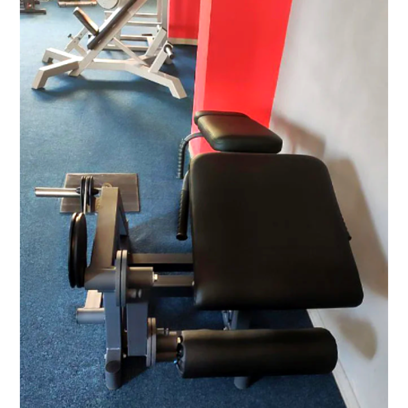 Сгибание-разгибание ног RN-SPORT imperium, свободный вес