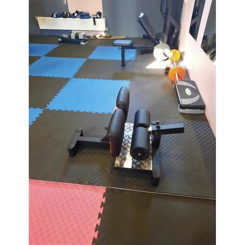 Професійний упор для присідань (сіссі присед) RN-Sport Imperium