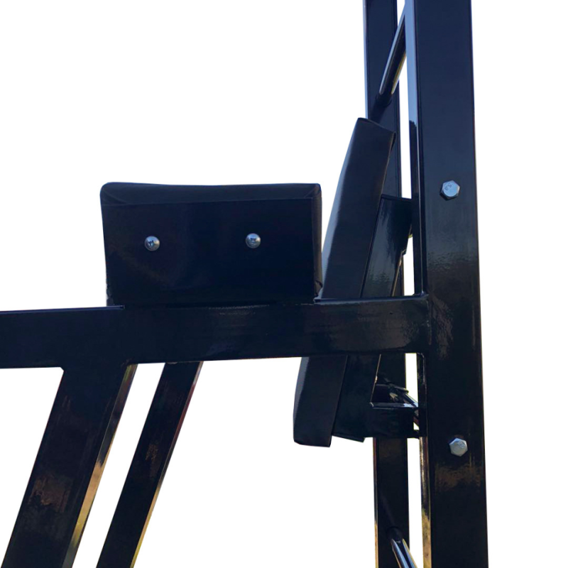 Турник, брусья и съемная спинка на пресс, шведская стенка RN Sport Черная (50х50 мм)