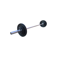 Штанга обрезиненная RN-Sport 50 кг с олимпийским грифом