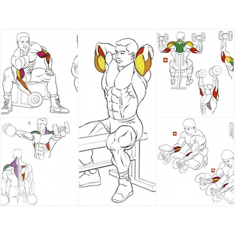 Скамья для жима лежа регулируемая универсальная + Гантели RN-Sport 2 по 20 кг с ABS-покрытием