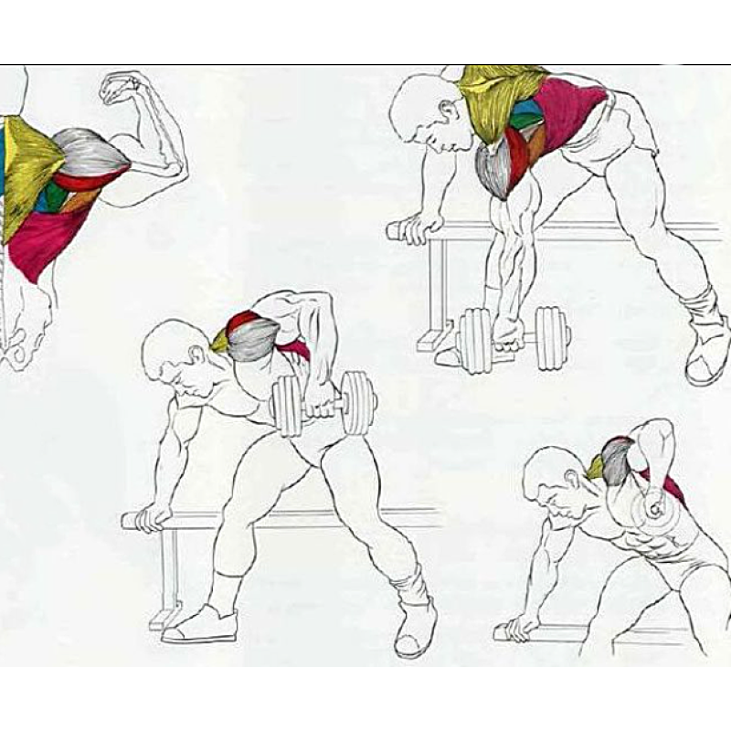 Скамья для жима лежа регулируемая универсальная + Гантели RN-Sport 2 по 20 кг с ABS-покрытием