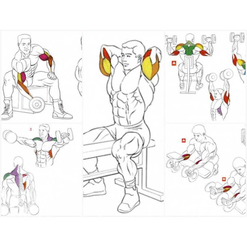 Скамья для жима лежа регулируемая универсальная + Гантели композитные RN-Sport по 11 кг