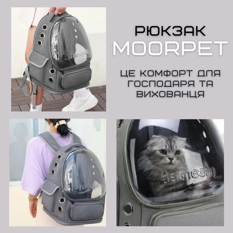 Прозрачный Рюкзак Переноска Для Кошек 42*34*27 см Сумка с Иллюминатором Для Перевозки Животных до 7 кг MoorPet Серая