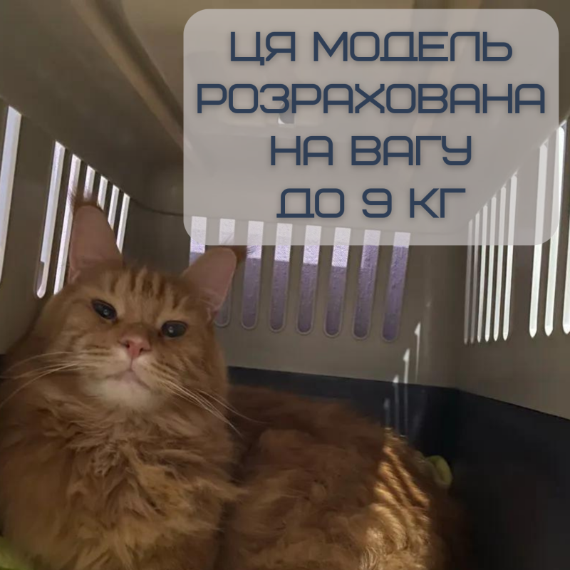 Переноска Контейнер Для Кошек и Собак 50*31*34 см Для Авиа Перелётов и Транспортировки Животных до 9 кг с Металлическими Креплениями и Дверью + Замок Navy