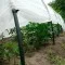 Парник міні теплиця Агрос з агроволокна 50 г/м² 80*120*300 см